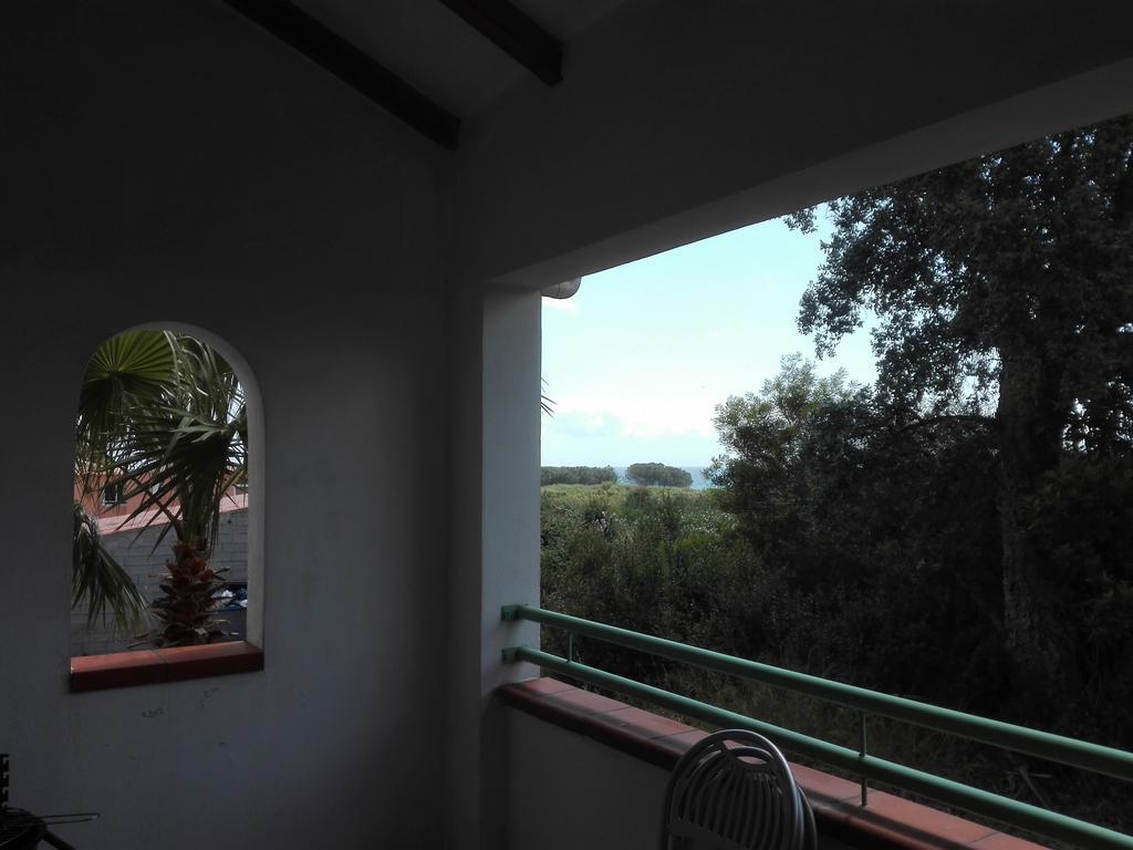 Les Jardins De La Mer Marine De Bravone - 2 Chambres A Lit Plus Sofa Avec Piscine A Cote Mer Linguizzetta Exterior photo